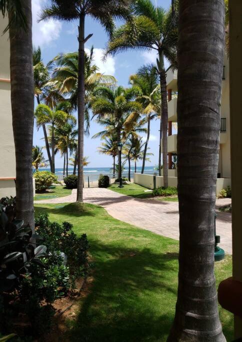 1St Level Unit Steps To Beach- Cold Air Conditioner At Poza Del Mar Luquillo Extérieur photo